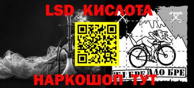 шишки Бузулук