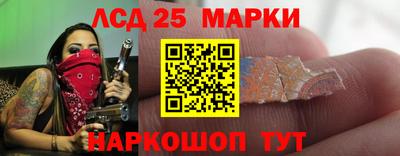 гидропоника Будённовск