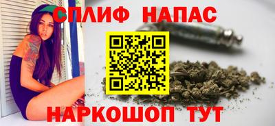 шишки Бузулук