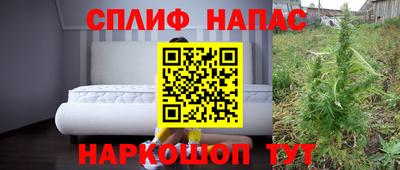 гидропоника Будённовск
