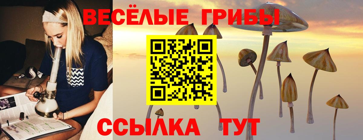 Галлюциногенные грибы GOLDEN TEACHER  Вход с VPN  Первоуральск  Галлюциногенные грибы Magic Shrooms 